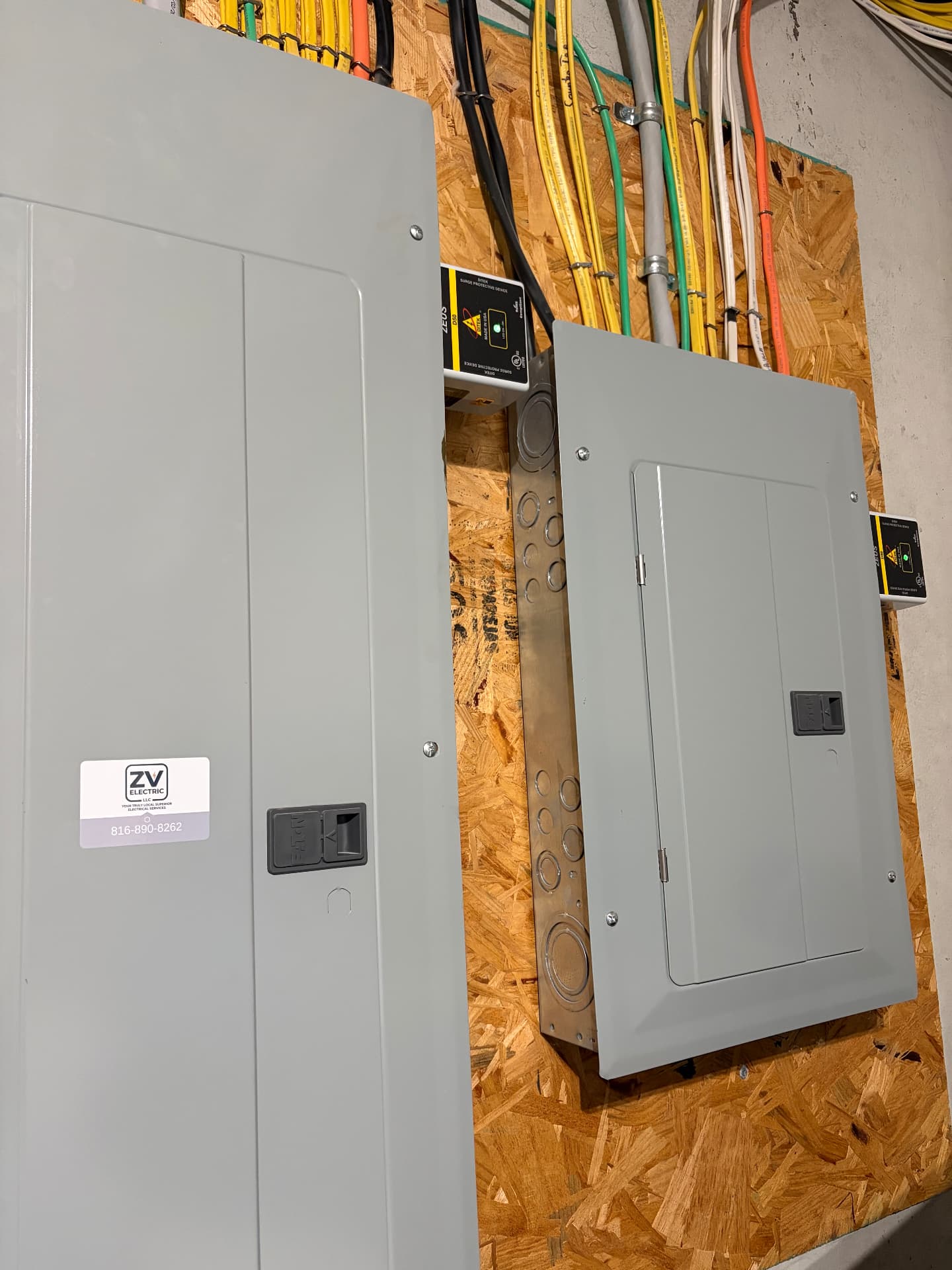 Panel wiring with whole-home surge protection devices